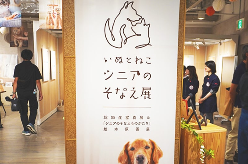 愛犬・愛猫のシニア期に向けた、ペットライン「いぬとねこ シニアのそなえ展」