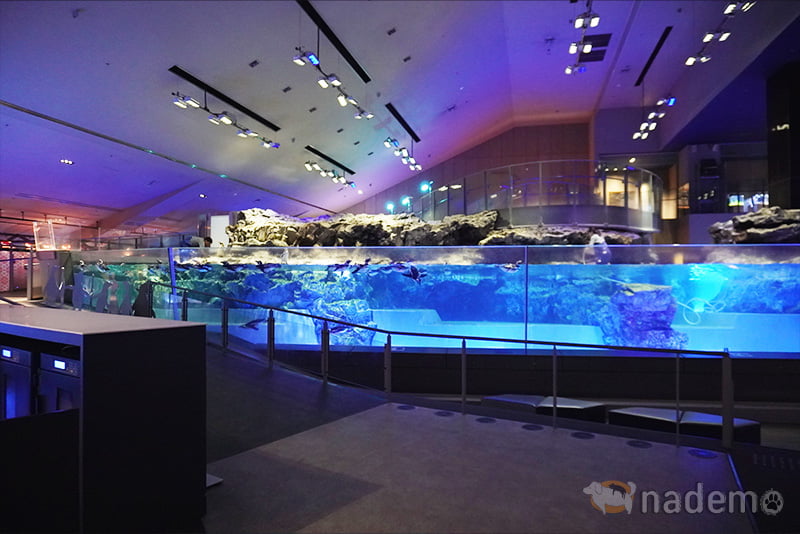 すみだ水族館