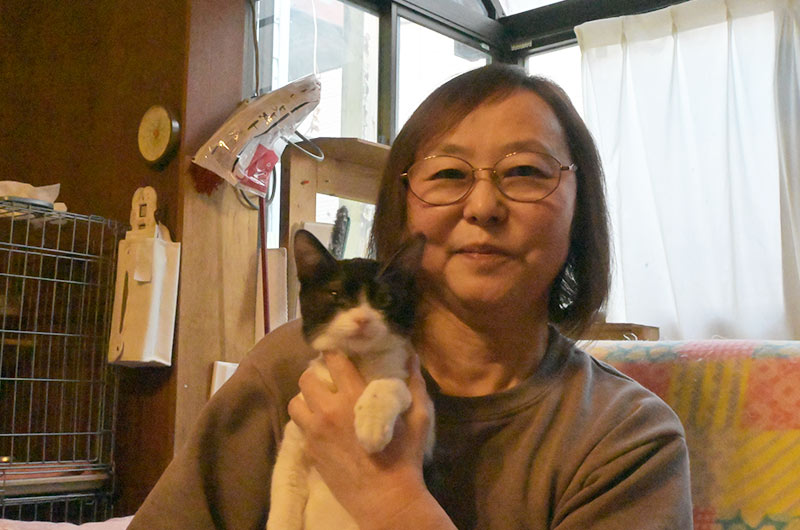 東京・調布のBaby Cat Rescueが育てる「皆様に愛される人懐こい子猫」