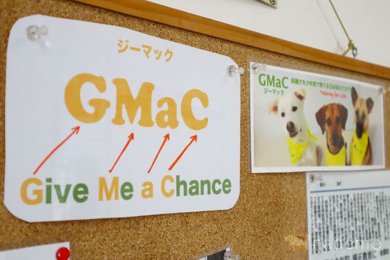 GMaCプログラム